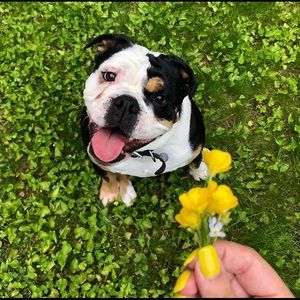 Meet your Posher, Lynn